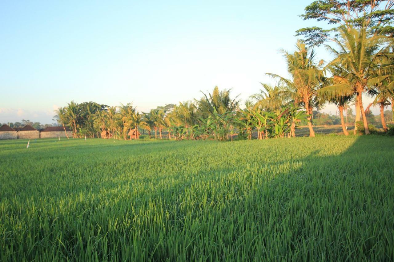 Ayuna Family Ubud Zewnętrze zdjęcie