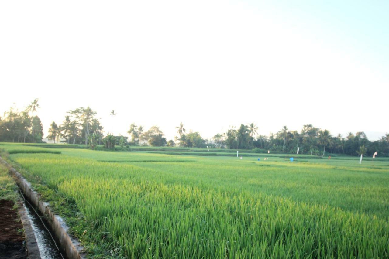 Ayuna Family Ubud Zewnętrze zdjęcie