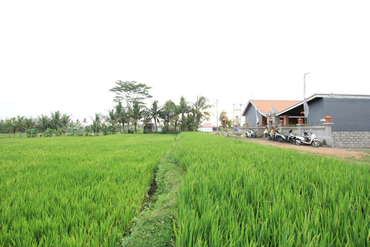 Ayuna Family Ubud Zewnętrze zdjęcie
