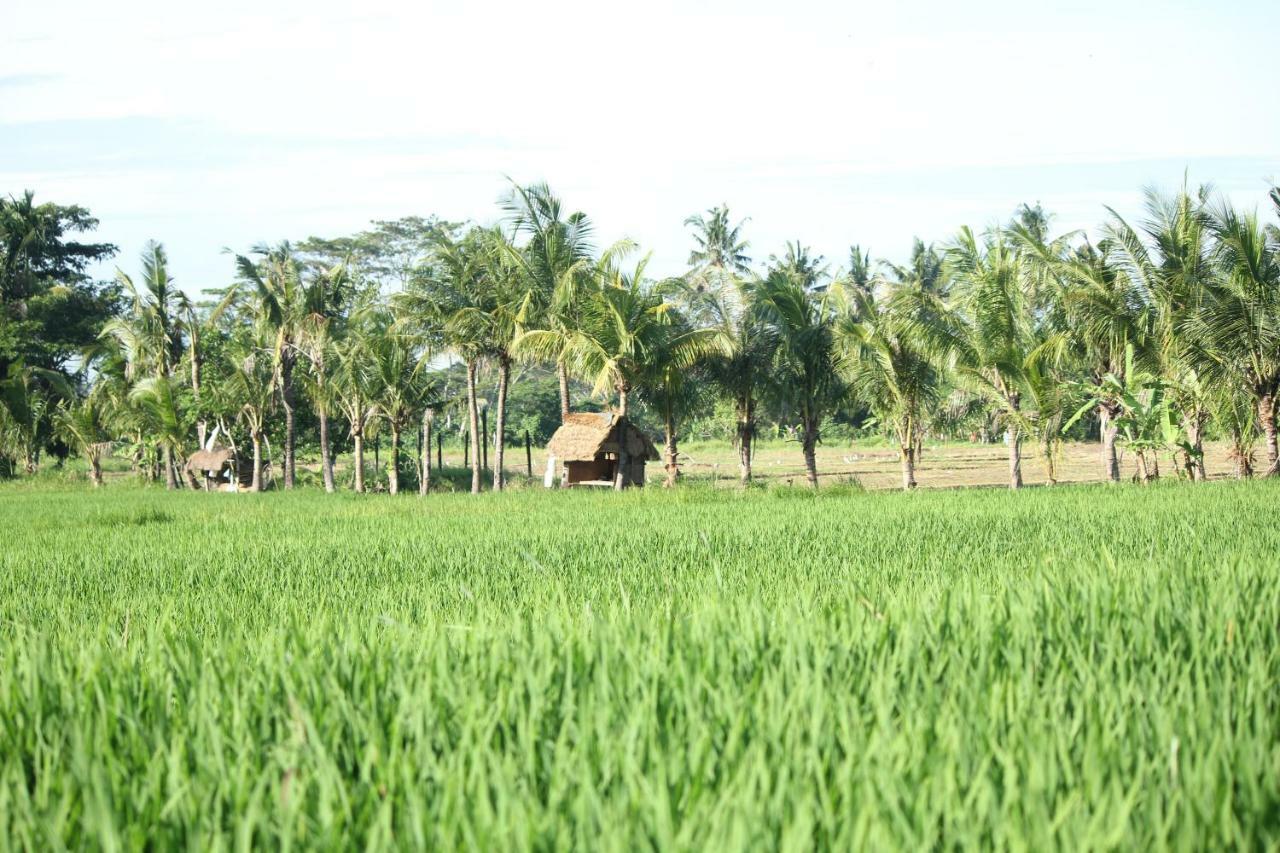 Ayuna Family Ubud Zewnętrze zdjęcie