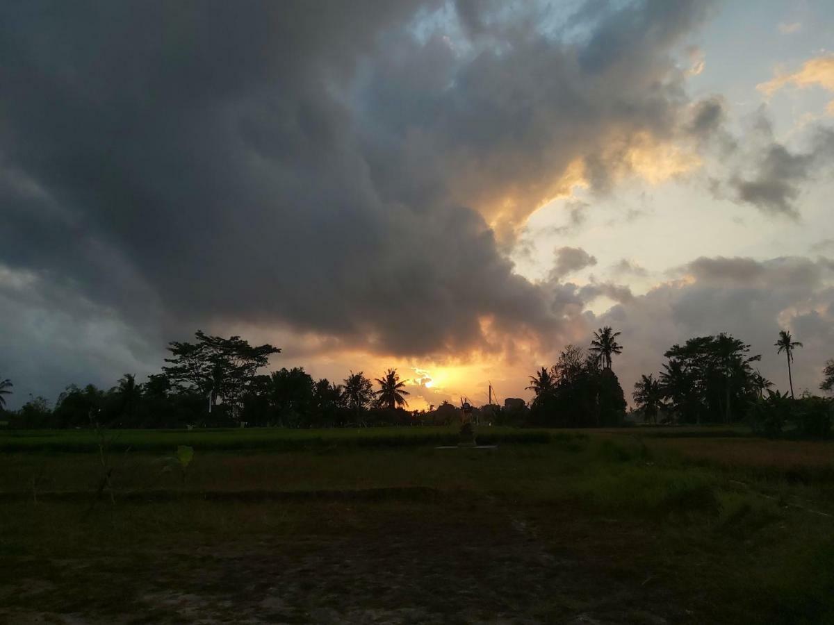 Ayuna Family Ubud Zewnętrze zdjęcie