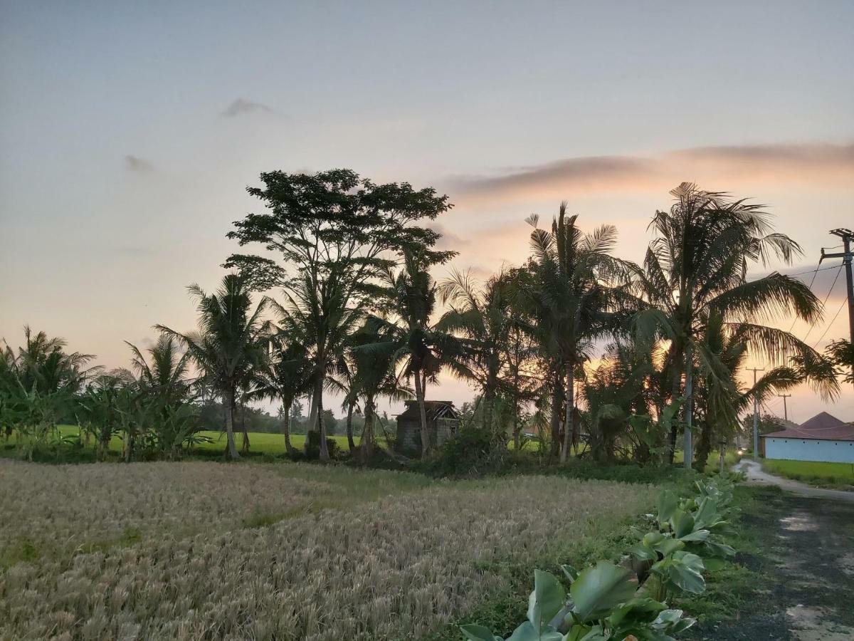 Ayuna Family Ubud Zewnętrze zdjęcie