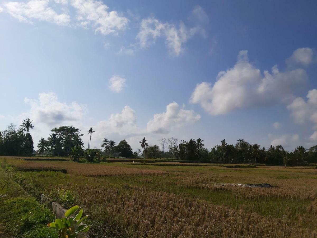 Ayuna Family Ubud Zewnętrze zdjęcie