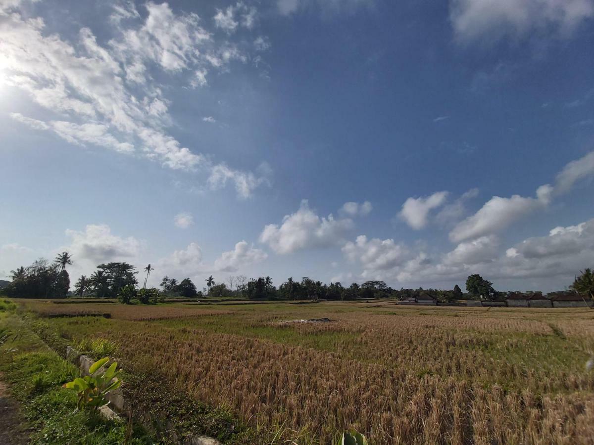 Ayuna Family Ubud Zewnętrze zdjęcie