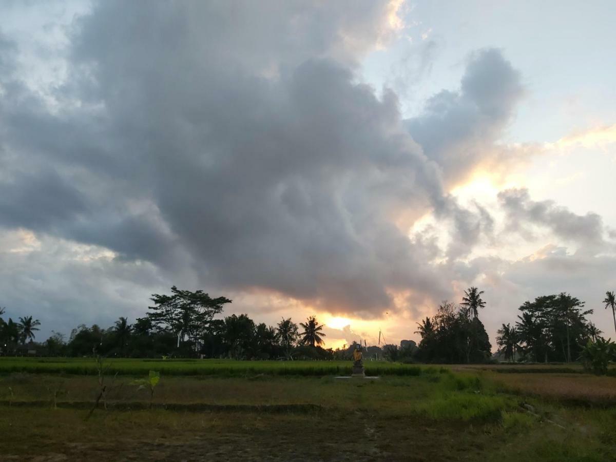 Ayuna Family Ubud Zewnętrze zdjęcie