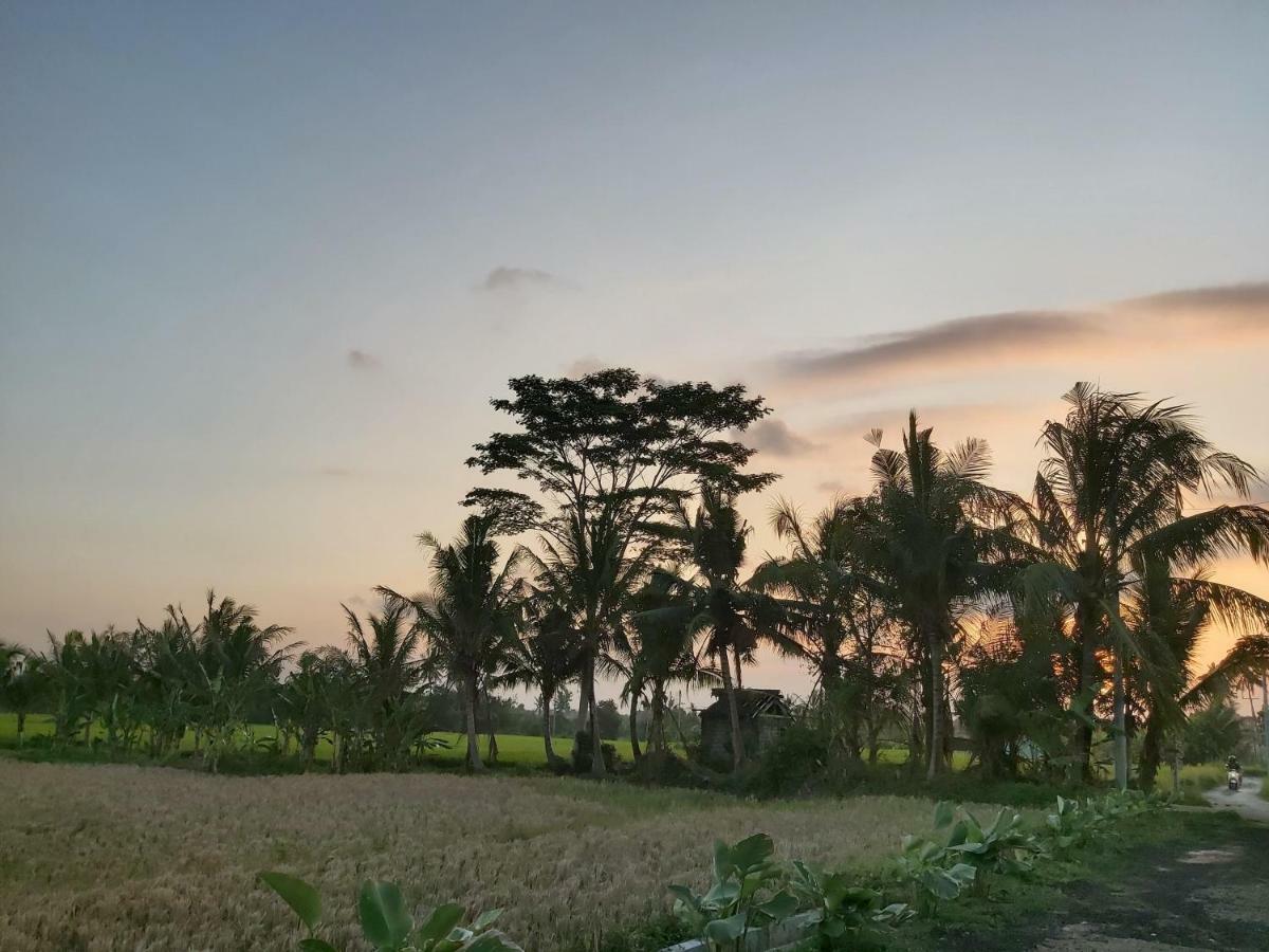 Ayuna Family Ubud Zewnętrze zdjęcie